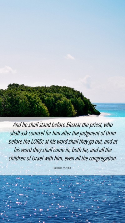 Picture 06 - Numbers 27:21 KJV Mobile Phone Wallpaper - And he shall stand before Eleazar the priest, who - Mobile Bible Verse Wallpaper