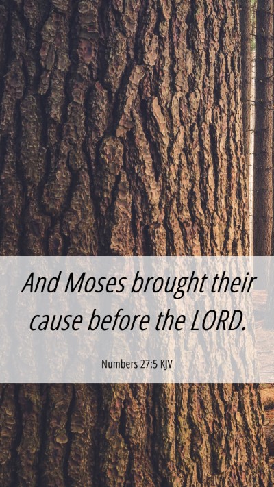 Picture 06 - Numbers 27:5 KJV Mobile Phone Wallpaper - And Moses brought their cause before the - Mobile Bible Verse Wallpaper