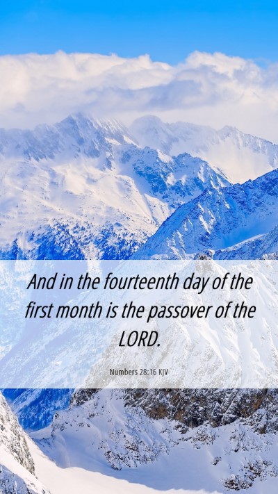 Picture 06 - Numbers 28:16 KJV Mobile Phone Wallpaper - And in the fourteenth day of the first month is - Mobile Bible Verse Wallpaper