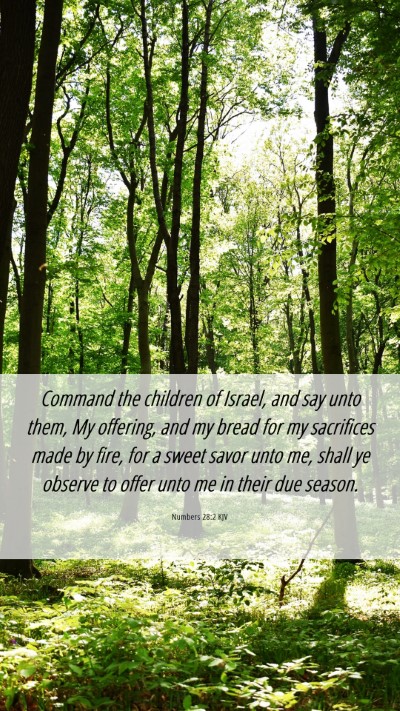 Picture 06 - Numbers 28:2 KJV Mobile Phone Wallpaper - Command the children of Israel, and say unto - Mobile Bible Verse Wallpaper