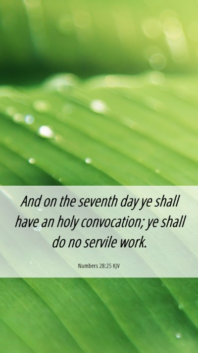 Picture 06 - Numbers 28:25 KJV Mobile Phone Wallpaper - And on the seventh day ye shall have an holy - Mobile Bible Verse Wallpaper