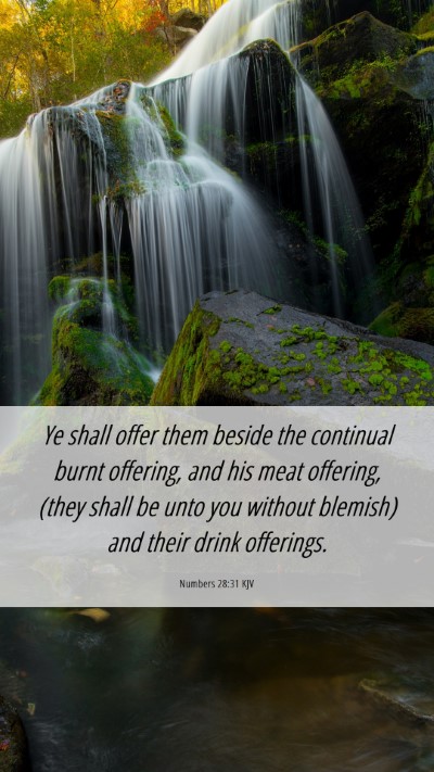 Picture 06 - Numbers 28:31 KJV Mobile Phone Wallpaper - Ye shall offer them beside the continual burnt - Mobile Bible Verse Wallpaper