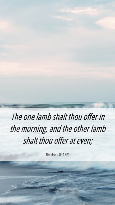 Picture 06 - Numbers 28:4 KJV Mobile Phone Wallpaper - The one lamb shalt thou offer in the morning, and - Mobile Bible Verse Wallpaper
