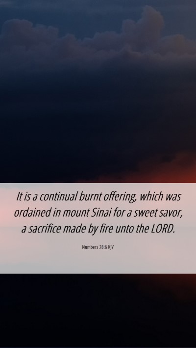 Picture 06 - Numbers 28:6 KJV Mobile Phone Wallpaper - It is a continual burnt offering, which was - Mobile Bible Verse Wallpaper