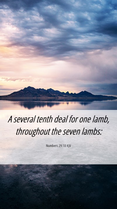 Picture 06 - Numbers 29:10 KJV Mobile Phone Wallpaper - A several tenth deal for one lamb, throughout the - Mobile Bible Verse Wallpaper