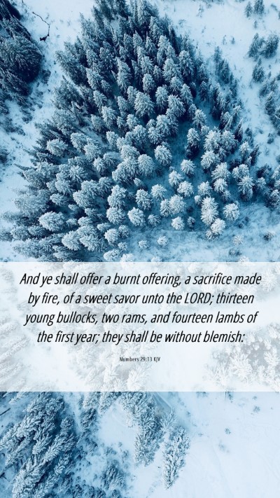 Picture 06 - Numbers 29:13 KJV Mobile Phone Wallpaper - And ye shall offer a burnt offering, a sacrifice - Mobile Bible Verse Wallpaper