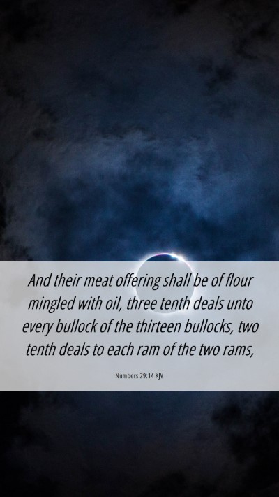 Picture 06 - Numbers 29:14 KJV Mobile Phone Wallpaper - And their meat offering shall be of flour mingled - Mobile Bible Verse Wallpaper