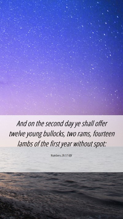 Picture 06 - Numbers 29:17 KJV Mobile Phone Wallpaper - And on the second day ye shall offer twelve young - Mobile Bible Verse Wallpaper