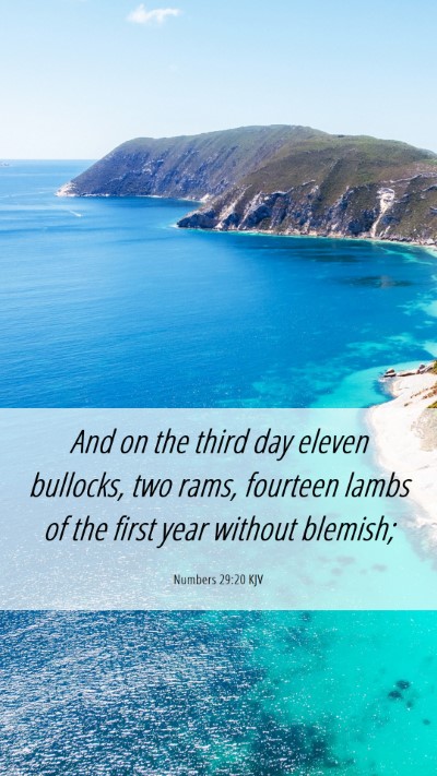 Picture 06 - Numbers 29:20 KJV Mobile Phone Wallpaper - And on the third day eleven bullocks, two rams, - Mobile Bible Verse Wallpaper