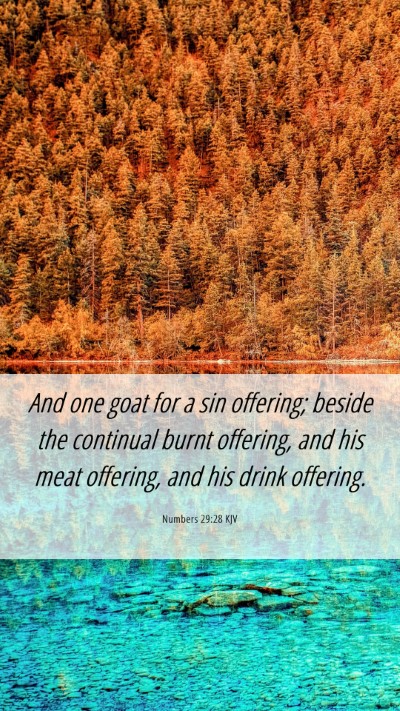 Picture 06 - Numbers 29:28 KJV Mobile Phone Wallpaper - And one goat for a sin offering; beside the - Mobile Bible Verse Wallpaper