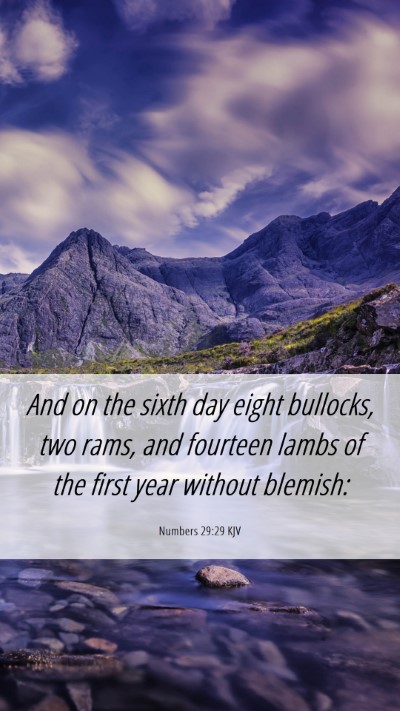 Picture 06 - Numbers 29:29 KJV Mobile Phone Wallpaper - And on the sixth day eight bullocks, two rams, - Mobile Bible Verse Wallpaper
