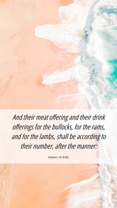 Picture 06 - Numbers 29:30 KJV Mobile Phone Wallpaper - And their meat offering and their drink offerings - Mobile Bible Verse Wallpaper