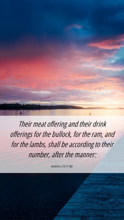 Picture 06 - Numbers 29:37 KJV Mobile Phone Wallpaper - Their meat offering and their drink offerings for - Mobile Bible Verse Wallpaper