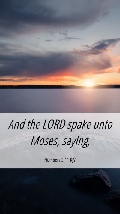 Picture 06 - Numbers 3:11 KJV Mobile Phone Wallpaper - And the LORD spake unto Moses, - Mobile Bible Verse Wallpaper
