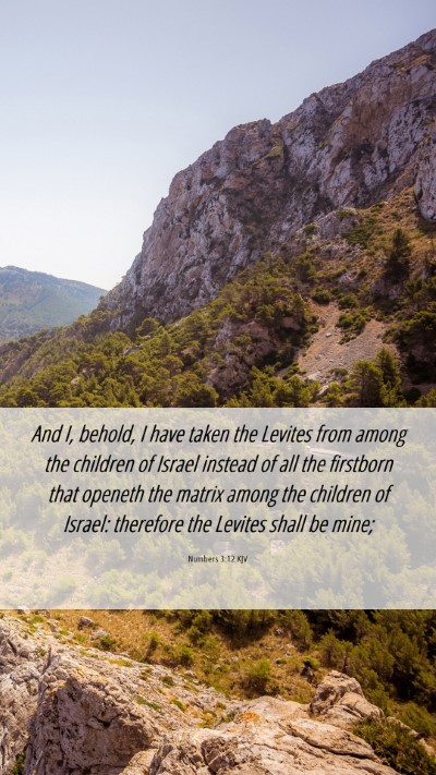 Picture 06 - Numbers 3:12 KJV Mobile Phone Wallpaper - And I, behold, I have taken the Levites from - Mobile Bible Verse Wallpaper