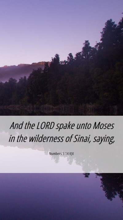Picture 06 - Numbers 3:14 KJV Mobile Phone Wallpaper - And the LORD spake unto Moses in the wilderness - Mobile Bible Verse Wallpaper