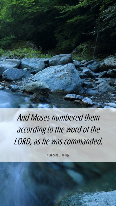 Picture 06 - Numbers 3:16 KJV Mobile Phone Wallpaper - And Moses numbered them according to the word of - Mobile Bible Verse Wallpaper