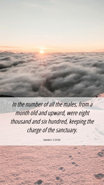 Picture 06 - Numbers 3:28 KJV Mobile Phone Wallpaper - In the number of all the males, from a month old - Mobile Bible Verse Wallpaper