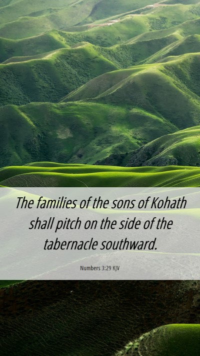 Picture 06 - Numbers 3:29 KJV Mobile Phone Wallpaper - The families of the sons of Kohath shall pitch on - Mobile Bible Verse Wallpaper