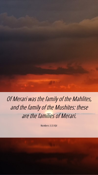 Picture 06 - Numbers 3:33 KJV Mobile Phone Wallpaper - Of Merari was the family of the Mahlites, and the - Mobile Bible Verse Wallpaper