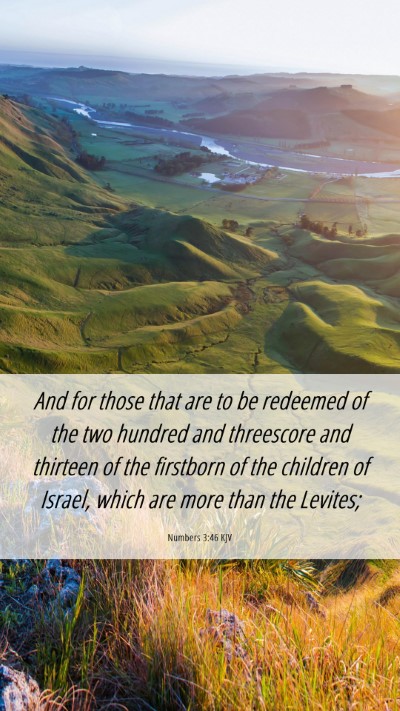 Picture 06 - Numbers 3:46 KJV Mobile Phone Wallpaper - And for those that are to be redeemed of the two - Mobile Bible Verse Wallpaper