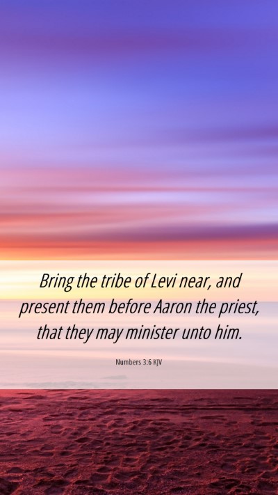 Picture 06 - Numbers 3:6 KJV Mobile Phone Wallpaper - Bring the tribe of Levi near, and present them - Mobile Bible Verse Wallpaper