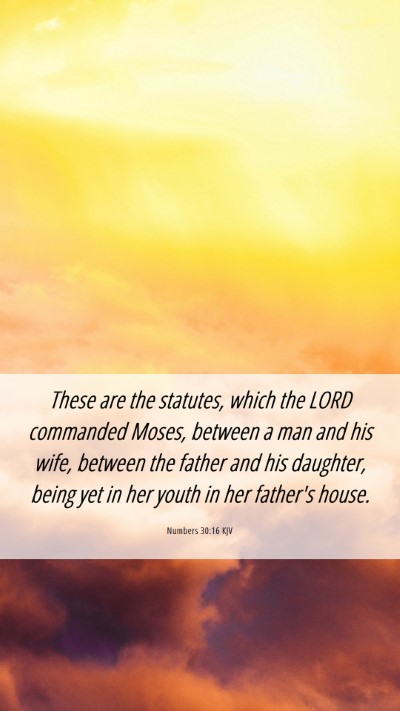 Picture 06 - Numbers 30:16 KJV Mobile Phone Wallpaper - These are the statutes, which the LORD commanded - Mobile Bible Verse Wallpaper
