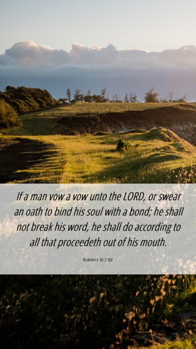 Picture 06 - Numbers 30:2 KJV Mobile Phone Wallpaper - If a man vow a vow unto the LORD, or swear an - Mobile Bible Verse Wallpaper