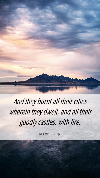 Picture 06 - Numbers 31:10 KJV Mobile Phone Wallpaper - And they burnt all their cities wherein they - Mobile Bible Verse Wallpaper