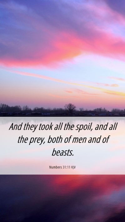 Picture 06 - Numbers 31:11 KJV Mobile Phone Wallpaper - And they took all the spoil, and all the prey, - Mobile Bible Verse Wallpaper