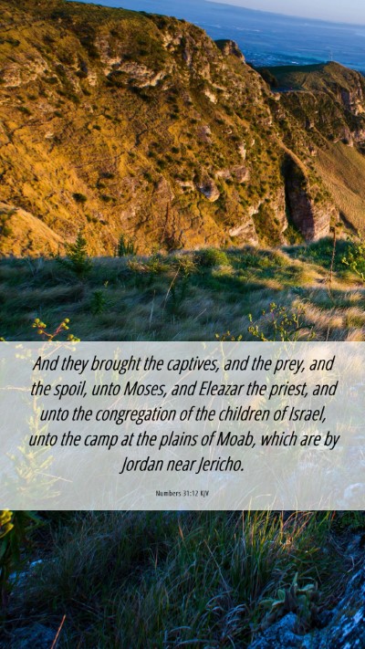 Picture 06 - Numbers 31:12 KJV Mobile Phone Wallpaper - And they brought the captives, and the prey, and - Mobile Bible Verse Wallpaper
