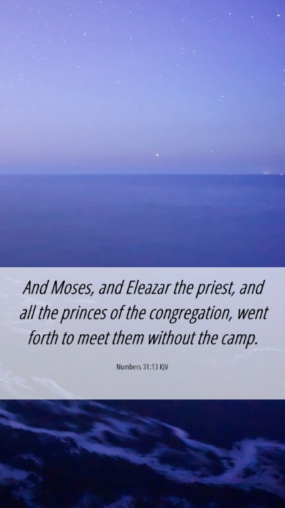 Picture 06 - Numbers 31:13 KJV Mobile Phone Wallpaper - And Moses, and Eleazar the priest, and all the - Mobile Bible Verse Wallpaper