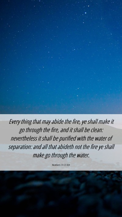 Picture 06 - Numbers 31:23 KJV Mobile Phone Wallpaper - Every thing that may abide the fire, ye shall - Mobile Bible Verse Wallpaper