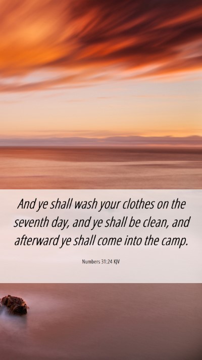 Picture 06 - Numbers 31:24 KJV Mobile Phone Wallpaper - And ye shall wash your clothes on the seventh - Mobile Bible Verse Wallpaper