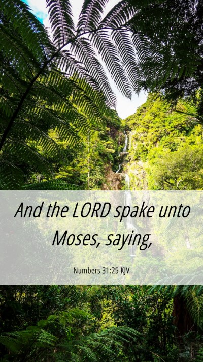 Picture 06 - Numbers 31:25 KJV Mobile Phone Wallpaper - And the LORD spake unto Moses, - Mobile Bible Verse Wallpaper