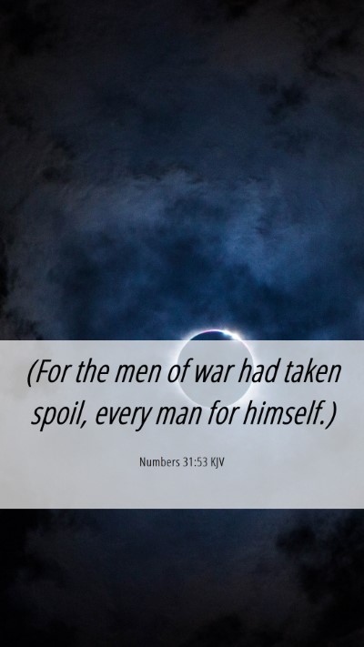 Picture 06 - Numbers 31:53 KJV Mobile Phone Wallpaper - (For the men of war had taken spoil, every man - Mobile Bible Verse Wallpaper