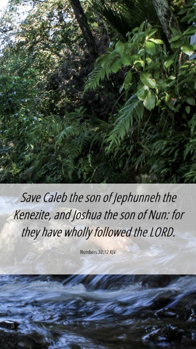 Picture 06 - Numbers 32:12 KJV Mobile Phone Wallpaper - Save Caleb the son of Jephunneh the Kenezite, and - Mobile Bible Verse Wallpaper
