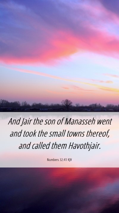 Picture 06 - Numbers 32:41 KJV Mobile Phone Wallpaper - And Jair the son of Manasseh went and took the - Mobile Bible Verse Wallpaper