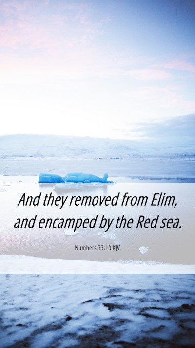 Picture 06 - Numbers 33:10 KJV Mobile Phone Wallpaper - And they removed from Elim, and encamped by the - Mobile Bible Verse Wallpaper