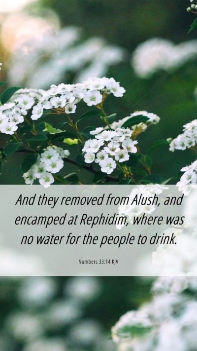 Picture 06 - Numbers 33:14 KJV Mobile Phone Wallpaper - And they removed from Alush, and encamped at - Mobile Bible Verse Wallpaper