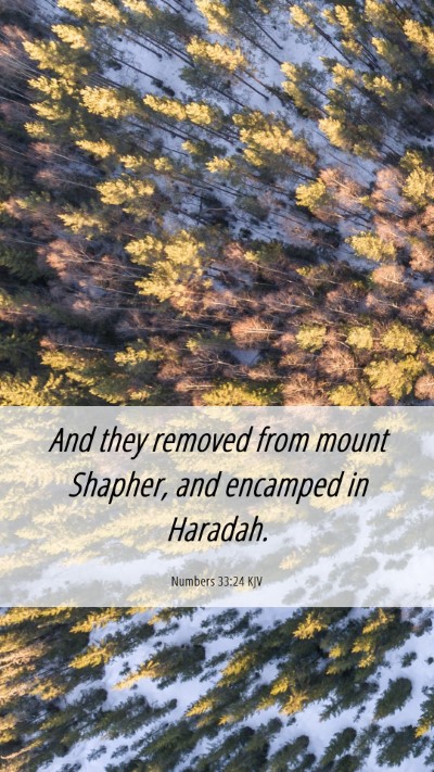 Picture 06 - Numbers 33:24 KJV Mobile Phone Wallpaper - And they removed from mount Shapher, and encamped - Mobile Bible Verse Wallpaper