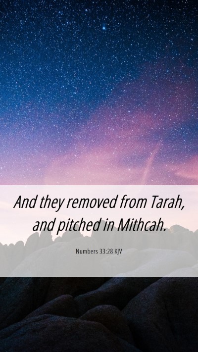 Picture 06 - Numbers 33:28 KJV Mobile Phone Wallpaper - And they removed from Tarah, and pitched in - Mobile Bible Verse Wallpaper