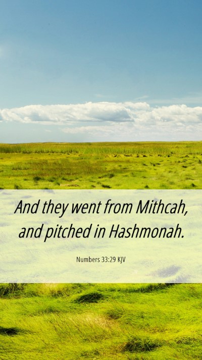 Picture 06 - Numbers 33:29 KJV Mobile Phone Wallpaper - And they went from Mithcah, and pitched in - Mobile Bible Verse Wallpaper