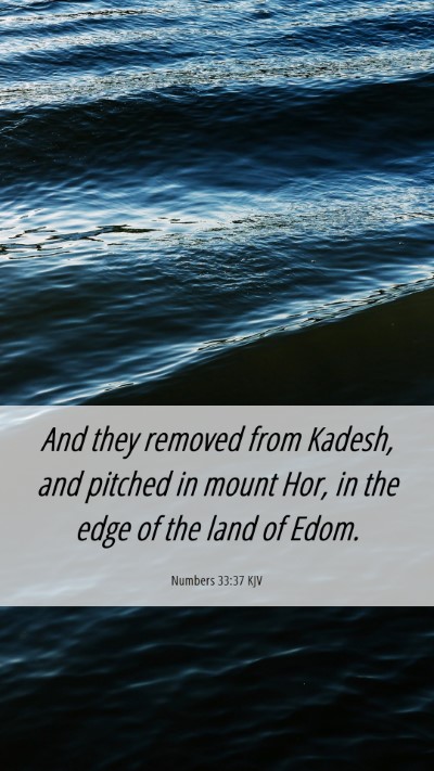Picture 06 - Numbers 33:37 KJV Mobile Phone Wallpaper - And they removed from Kadesh, and pitched in - Mobile Bible Verse Wallpaper