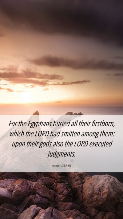 Picture 06 - Numbers 33:4 KJV Mobile Phone Wallpaper - For the Egyptians buried all their firstborn, - Mobile Bible Verse Wallpaper