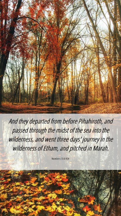 Picture 06 - Numbers 33:8 KJV Mobile Phone Wallpaper - And they departed from before Pihahiroth, and - Mobile Bible Verse Wallpaper