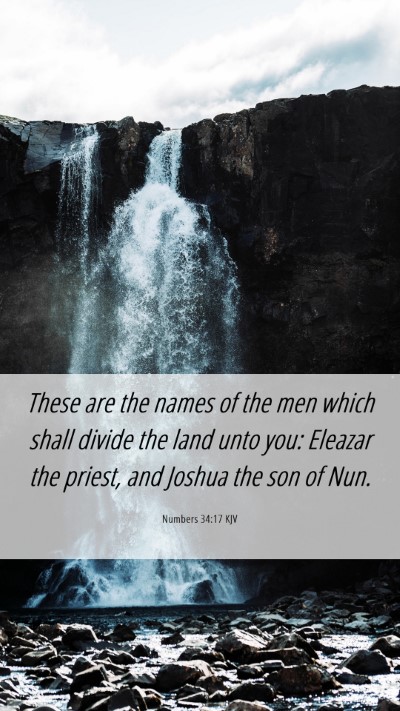 Picture 06 - Numbers 34:17 KJV Mobile Phone Wallpaper - These are the names of the men which shall divide - Mobile Bible Verse Wallpaper