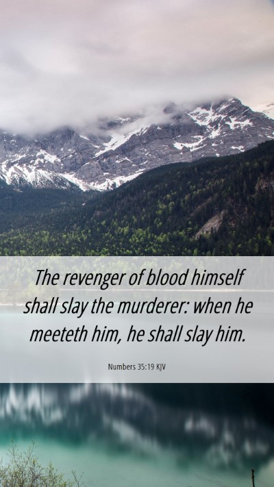 Picture 06 - Numbers 35:19 KJV Mobile Phone Wallpaper - The revenger of blood himself shall slay the - Mobile Bible Verse Wallpaper