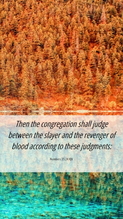Picture 06 - Numbers 35:24 KJV Mobile Phone Wallpaper - Then the congregation shall judge between the - Mobile Bible Verse Wallpaper