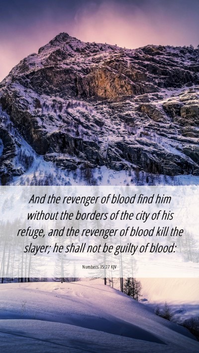 Picture 06 - Numbers 35:27 KJV Mobile Phone Wallpaper - And the revenger of blood find him without the - Mobile Bible Verse Wallpaper